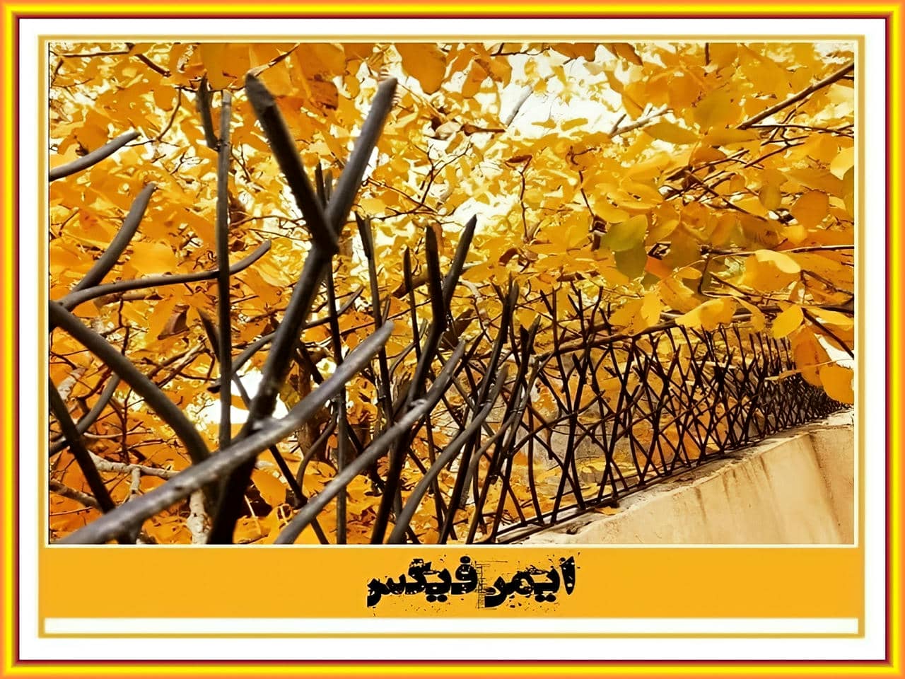 قیمت حفاظ شاخ گوزنی چقدر است؟