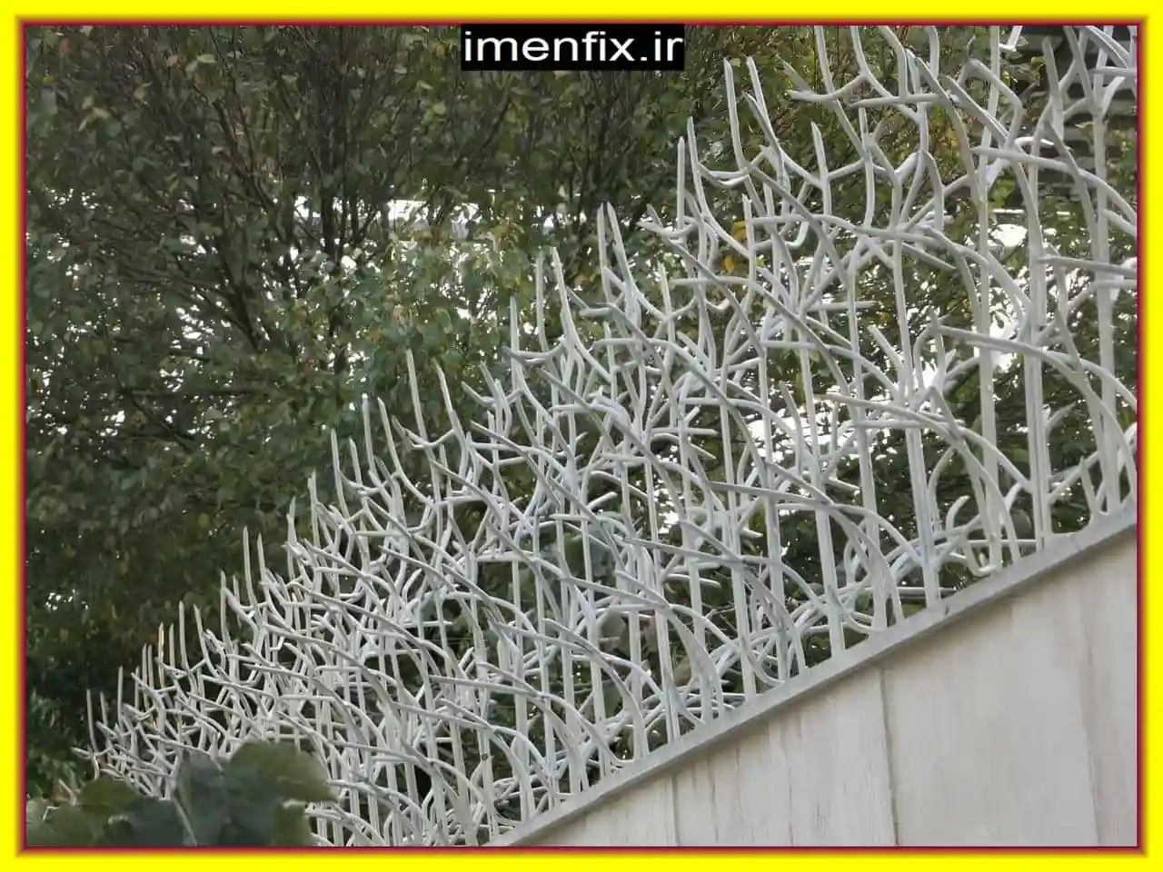 حفاظ شمشادی برای ساختمان های مسکونی حفاظ شمشادی برای ساختمان های مسکونی