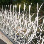 راهنمای خرید حفاظ شاخ گوزنی