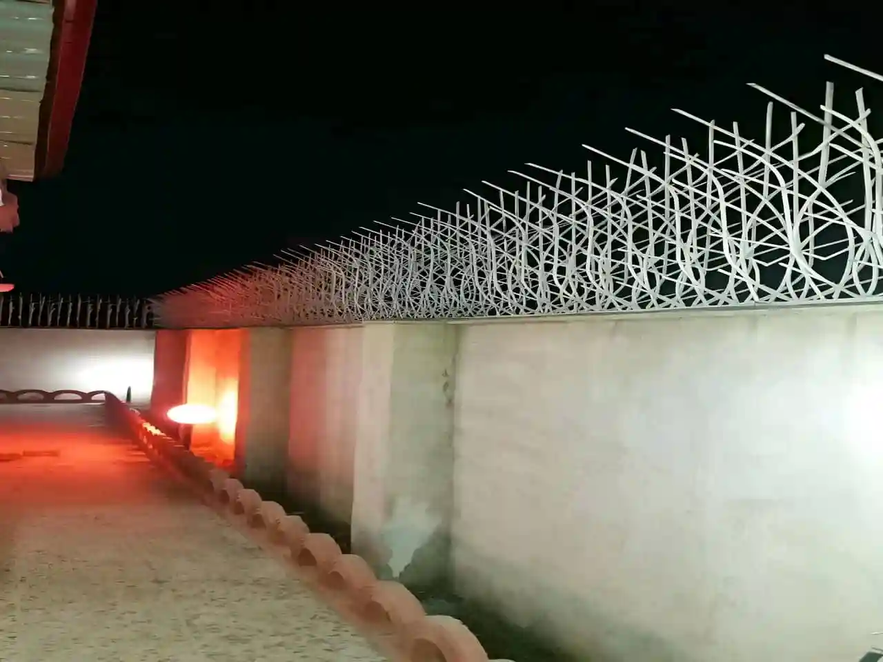 نصب حفاظ نیزار: چه مراحلی باید طی شود؟