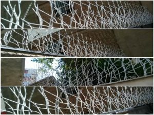هزینه و ارزش حفاظ شاخ گوزنی