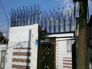 کاربردهای حفاظ شاخ گوزنی