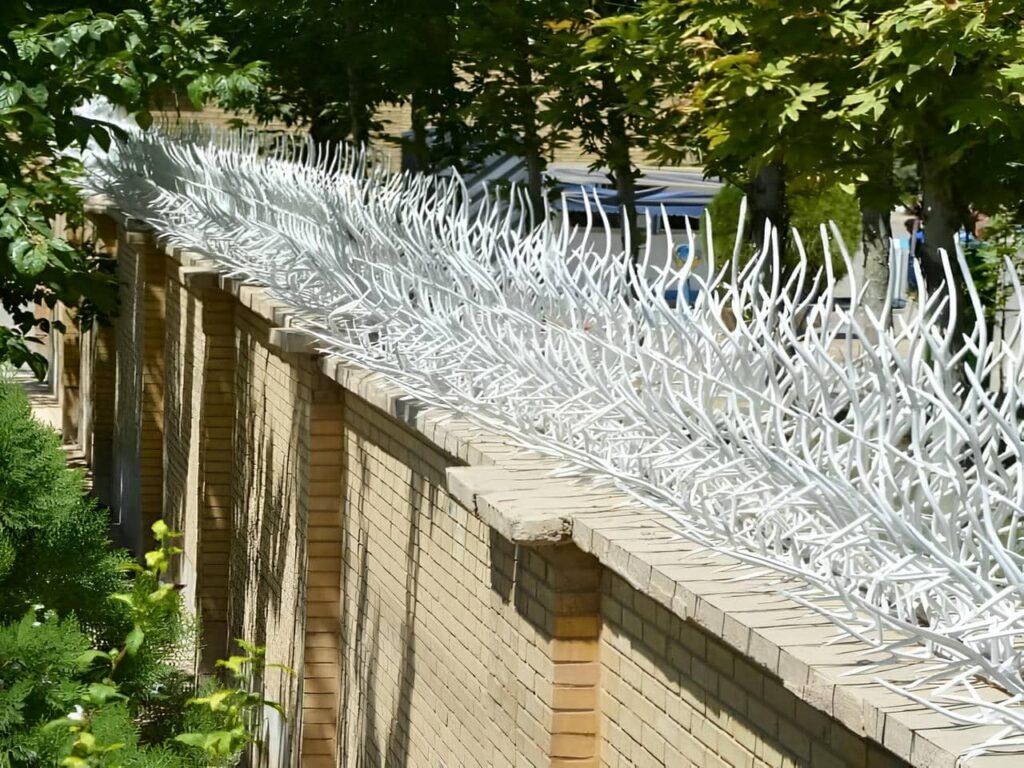 حفاظ شاخ گوزنی مدل مارال