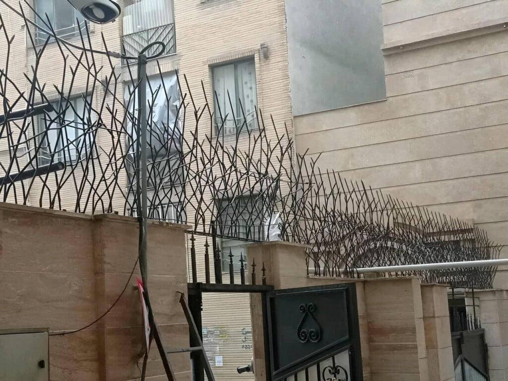 تفاوت حفاظ شاخ گوزنی و حفاظ بوته ای تفاوت حفاظ شاخ گوزنی و حفاظ بوته ای