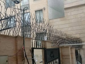 تفاوت حفاظ شاخ گوزنی و حفاظ بوته ای