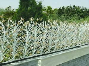 حفاظ شاخ گوزنی چه جاهایی استفاده میشود؟