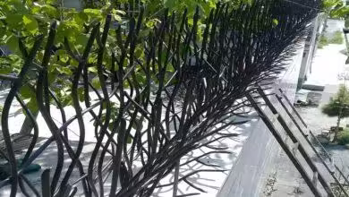 حفاظ بوته ای چیست؟