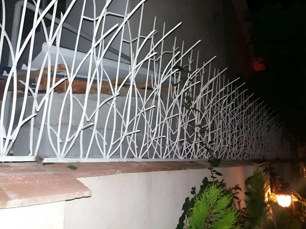 حفاظ نیزار چیست؟