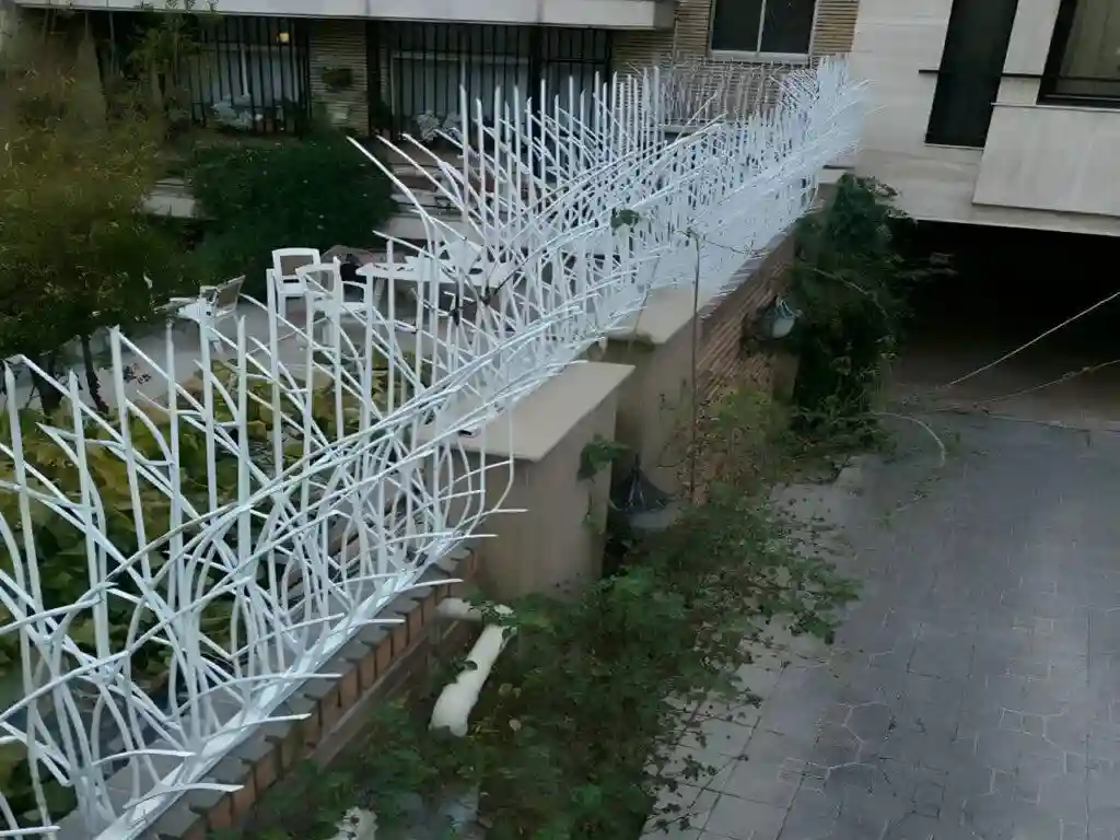 بررسی حفاظ نیزار چیست؟