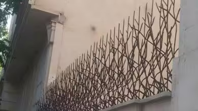 راهنمای خرید و نصب حفاظ شاخ گوزنی
