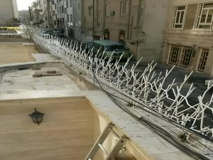 حفاظ شاخ گوزنی منزل مسکونی