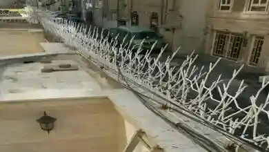 حفاظ شاخ گوزنی منزل مسکونی