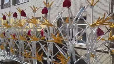 اگر دزد به خانه آمد، چه کنیم؟