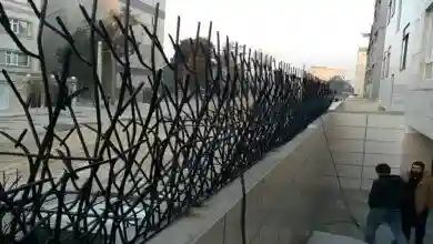 رنگ حفاظ شاخ گوزنی