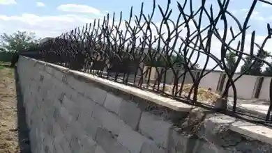 چرا باید از حفاظ شاخ گوزنی استفاده کنیم؟