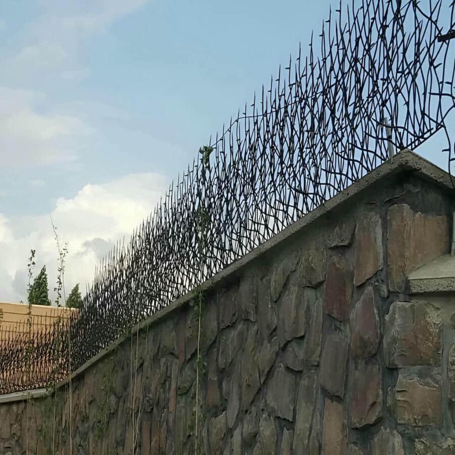 خرید و تولید حفاظ شاخ گوزنی