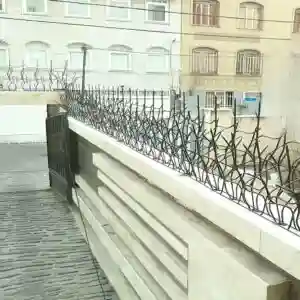 حفاظ شاخ گوزنی چیست