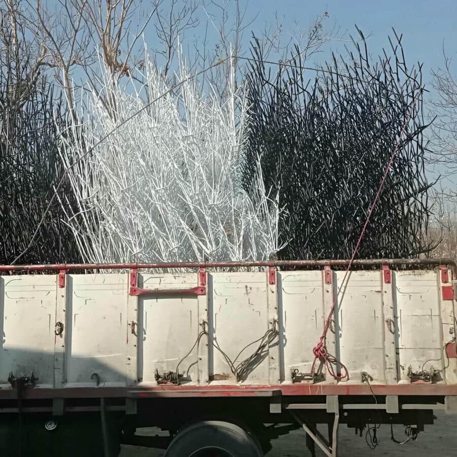 کاربرد حفاظ شاخ گوزنی