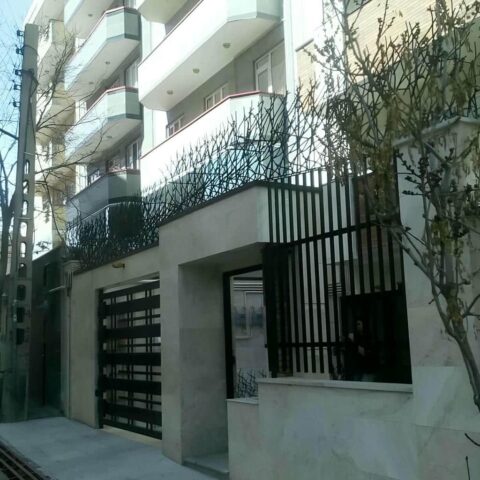 ساخت حفاظ شاخ گوزنی روی دیوار آپارتمانی و ویلا