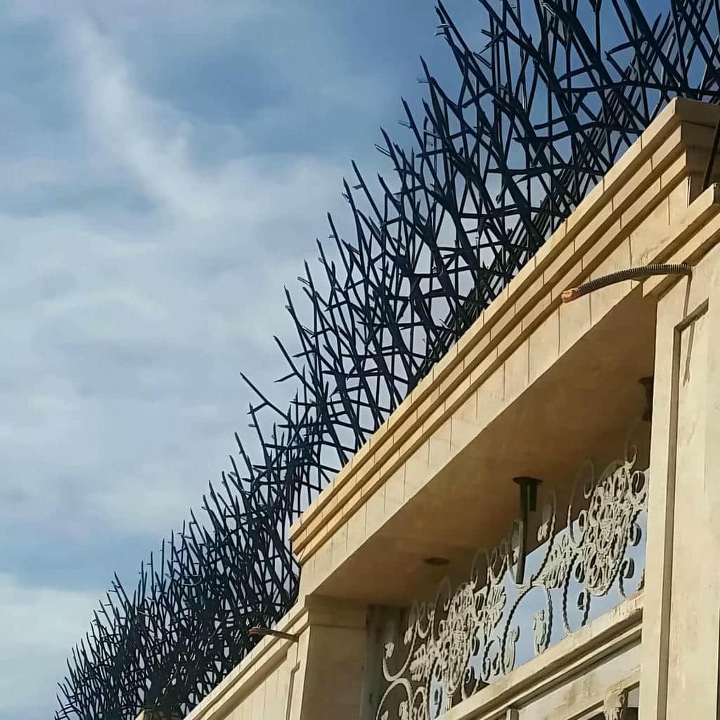 قیمت حفاظ شاخ گوزنی نگهداری دوره ای در شیراز