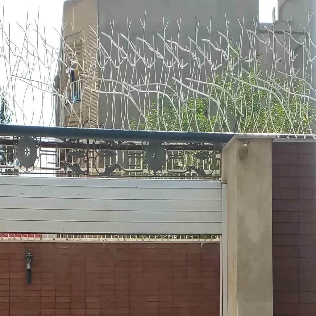 حفاظ شاخ گوزنی در سنندج