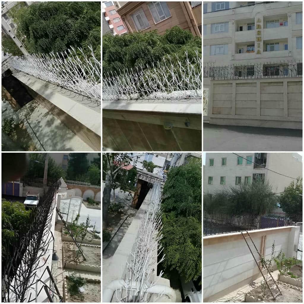 قیمت حفاظ شاخ گوزنی اتصال آب بندی در ملارد