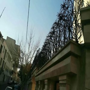 حفاظ شاخ گوزنی در کاشان