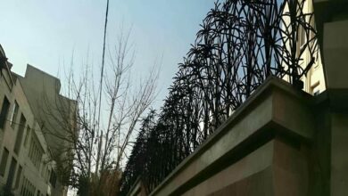 حفاظ شاخ گوزنی در کاشان