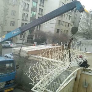 حفاظ شاخ گوزنی در کرمان