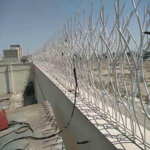 حفاظ شاخ گوزنی در اندیشه