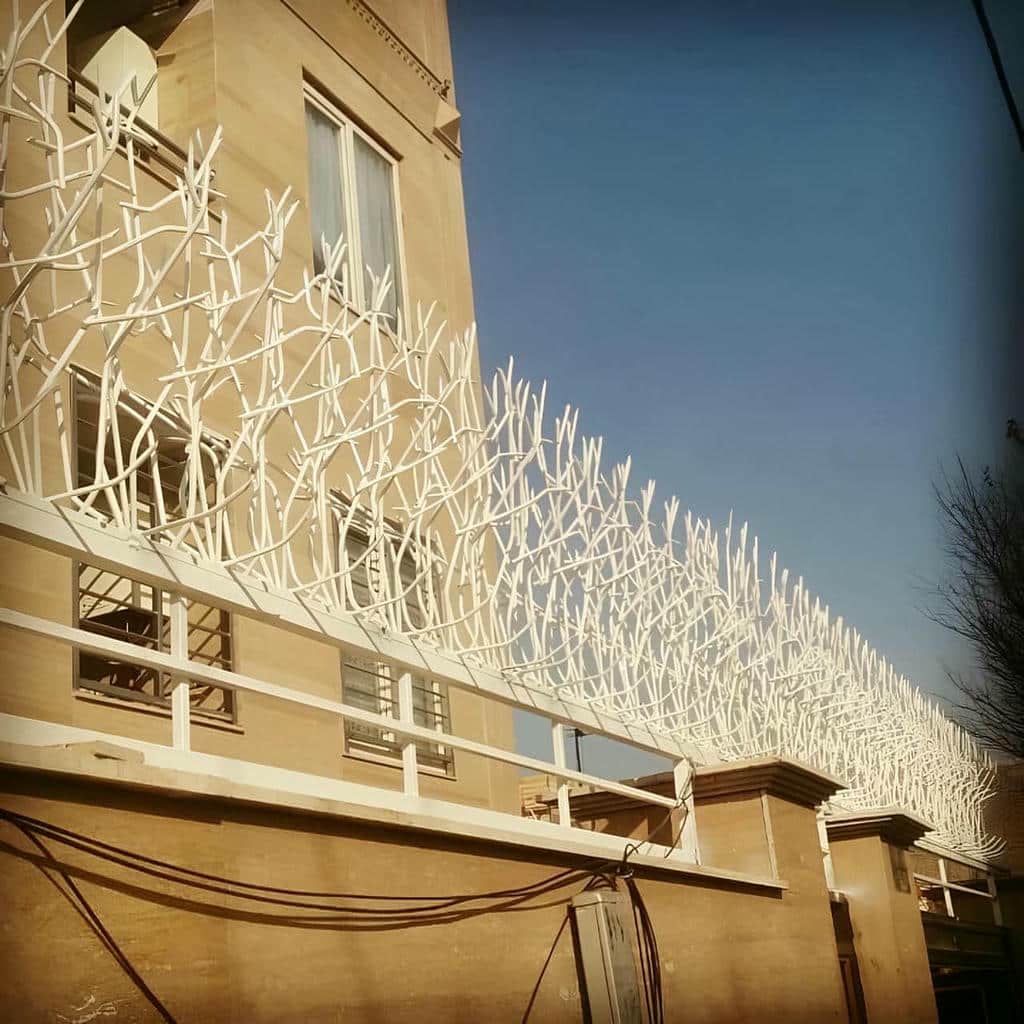 حفاظ شاخ گوزنی در استان گیلان