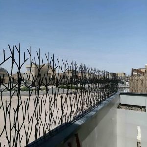 حفاظ شاخ گوزنی در آبادان