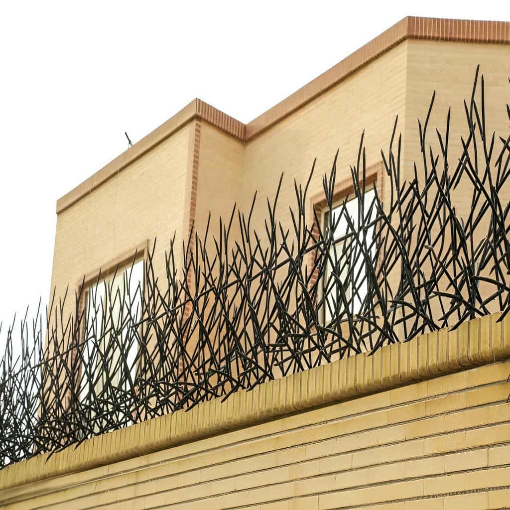 کارخانه حفاظ شاخ گوزنی ارتفاع سفارشی در ارومیه