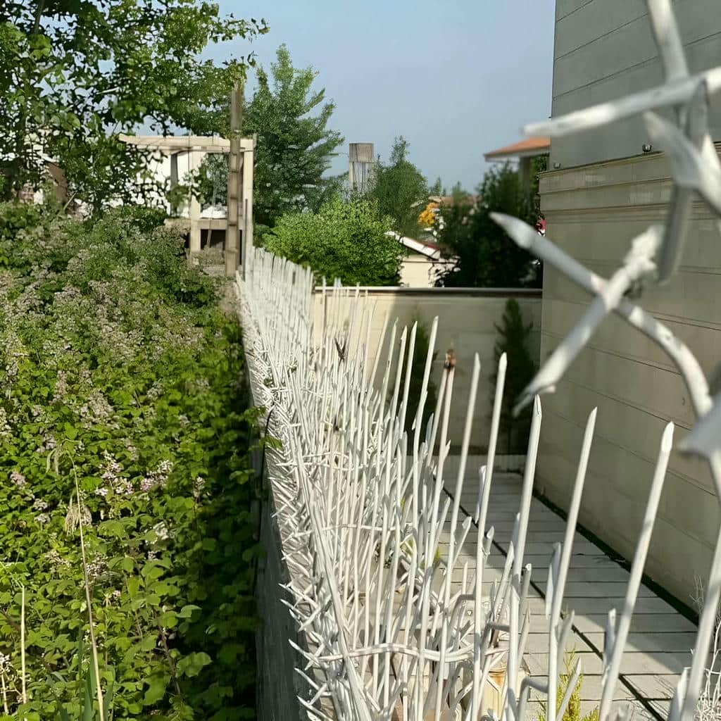 قیمت حفاظ شاخ گوزنی اجرای تراز در بیرجند