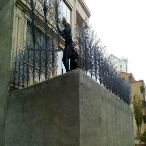 حفاظ شاخ گوزنی در نظرآباد