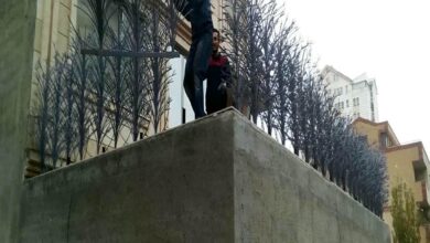 حفاظ شاخ گوزنی در نظرآباد