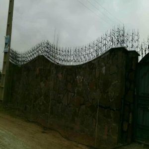 حفاظ شاخ گوزنی در کرج