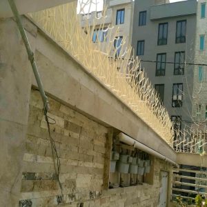 حفاظ شاخ گوزنی در کیش