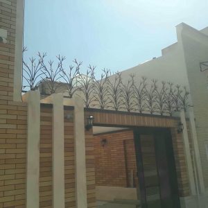 حفاظ شاخ گوزنی در استان خوزستان