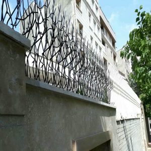 حفاظ شاخ گوزنی در طالقان