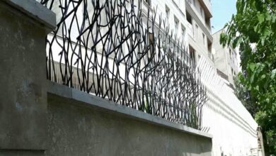 حفاظ شاخ گوزنی در طالقان