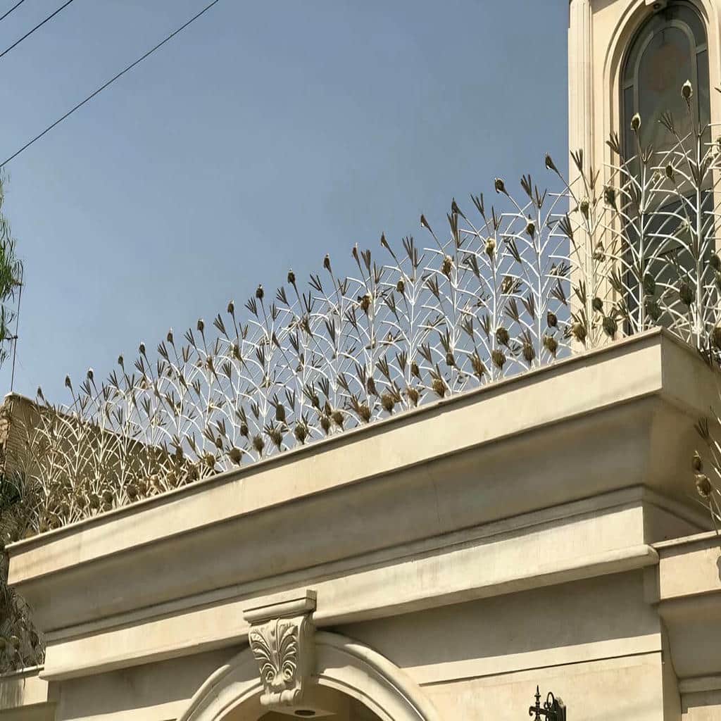 قیمت حفاظ شاخ گوزنی نگهداری دوره ای در قم