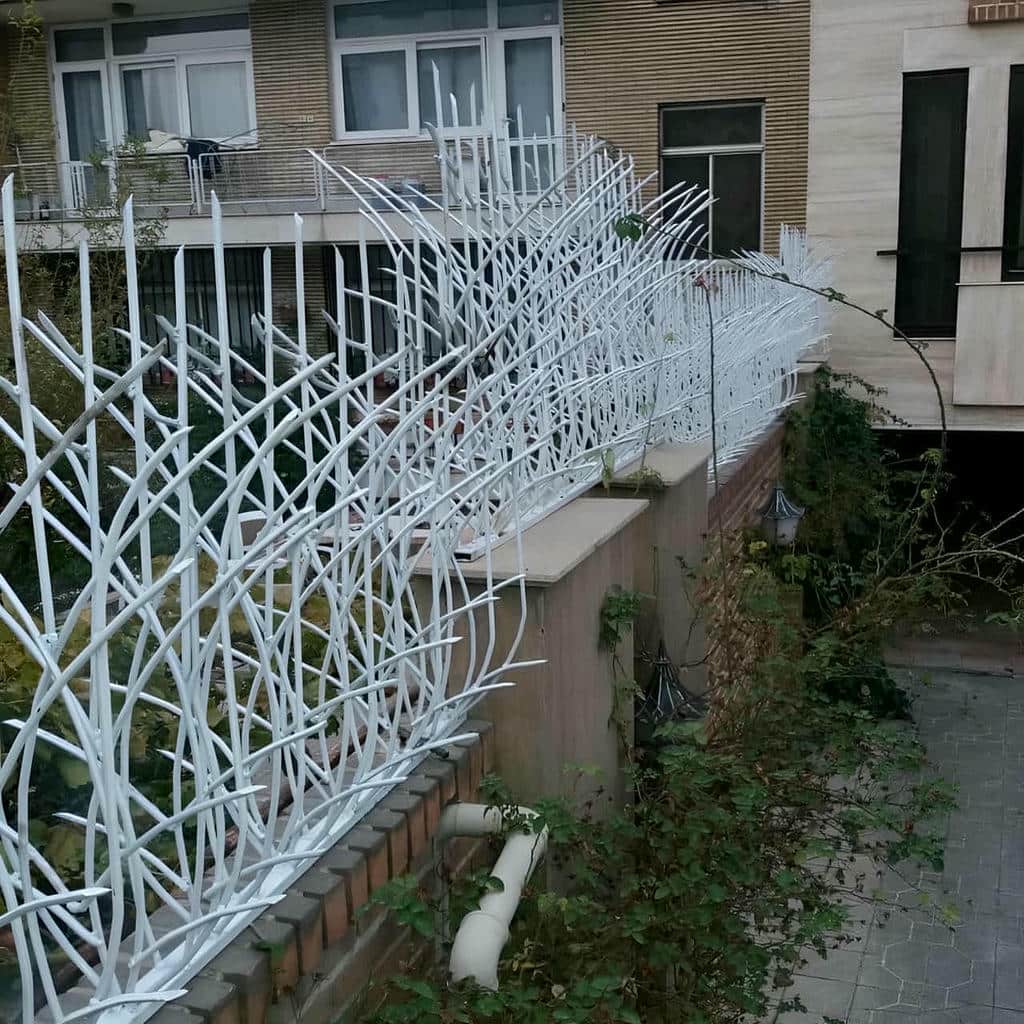 قیمت حفاظ شاخ گوزنی الکترواستاتیک در بندر بوشهر