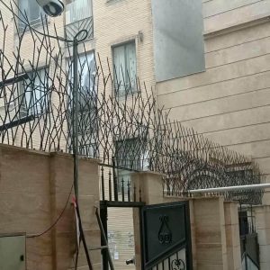حفاظ شاخ گوزنی در سیرجان