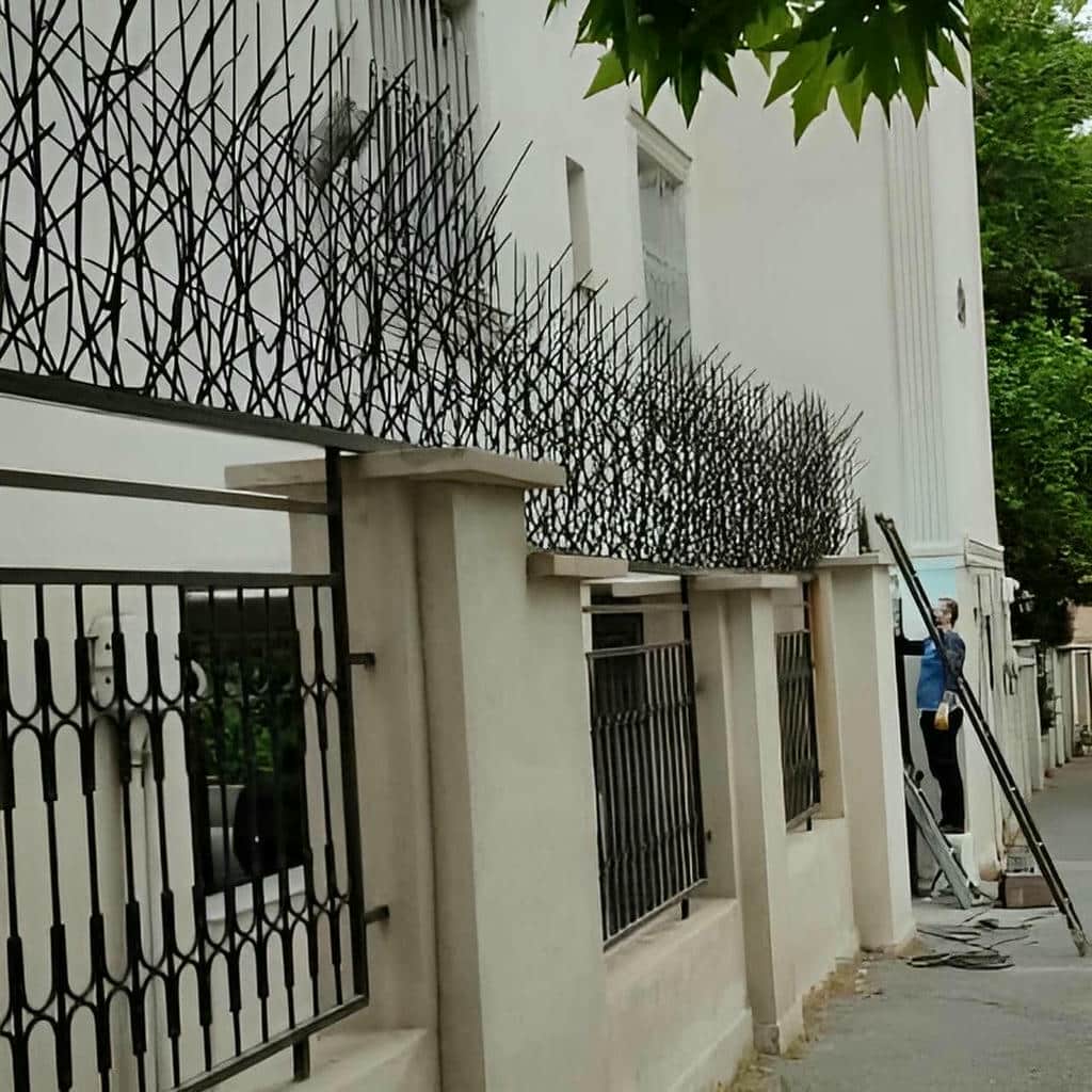 کارخانه حفاظ شاخ گوزنی کنترل پوشش در طالقان