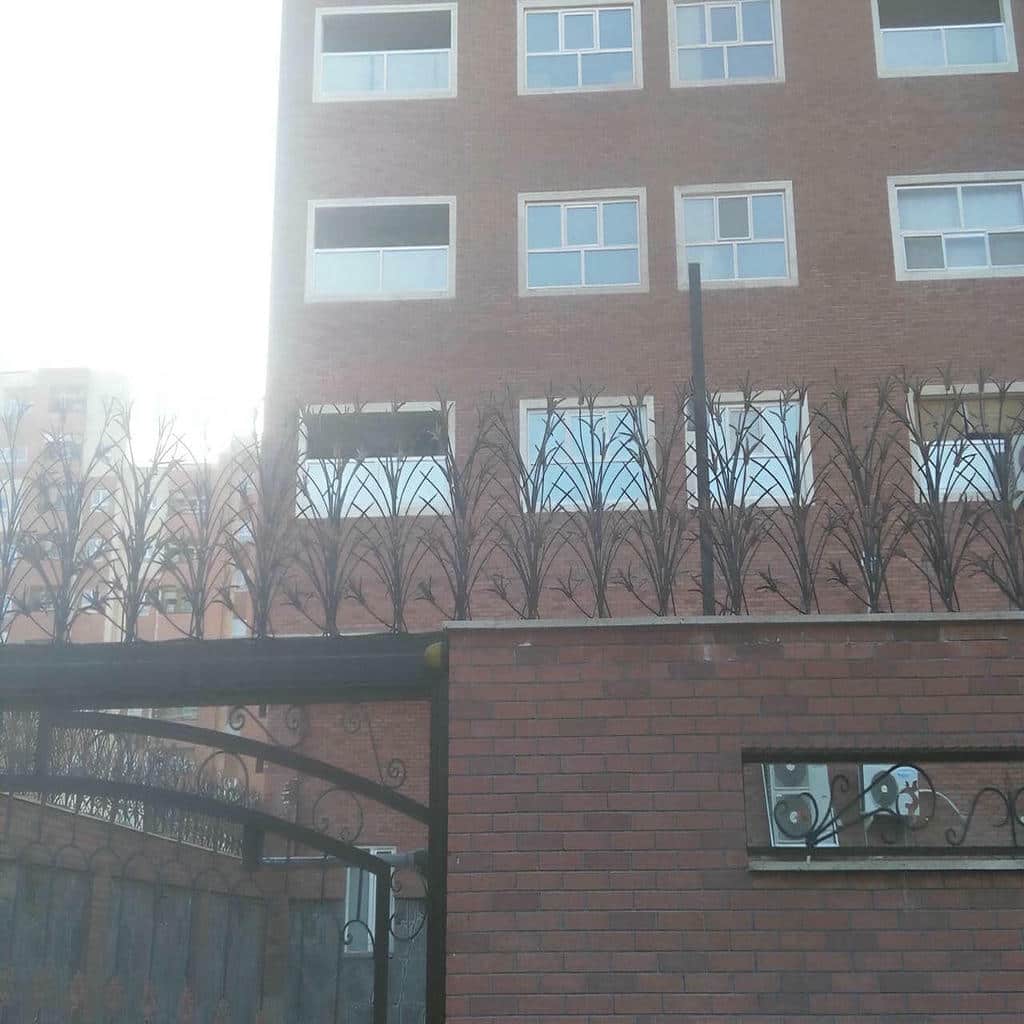 خرید حفاظ شاخ گوزنی تراکم متنوع در بندر انزلی