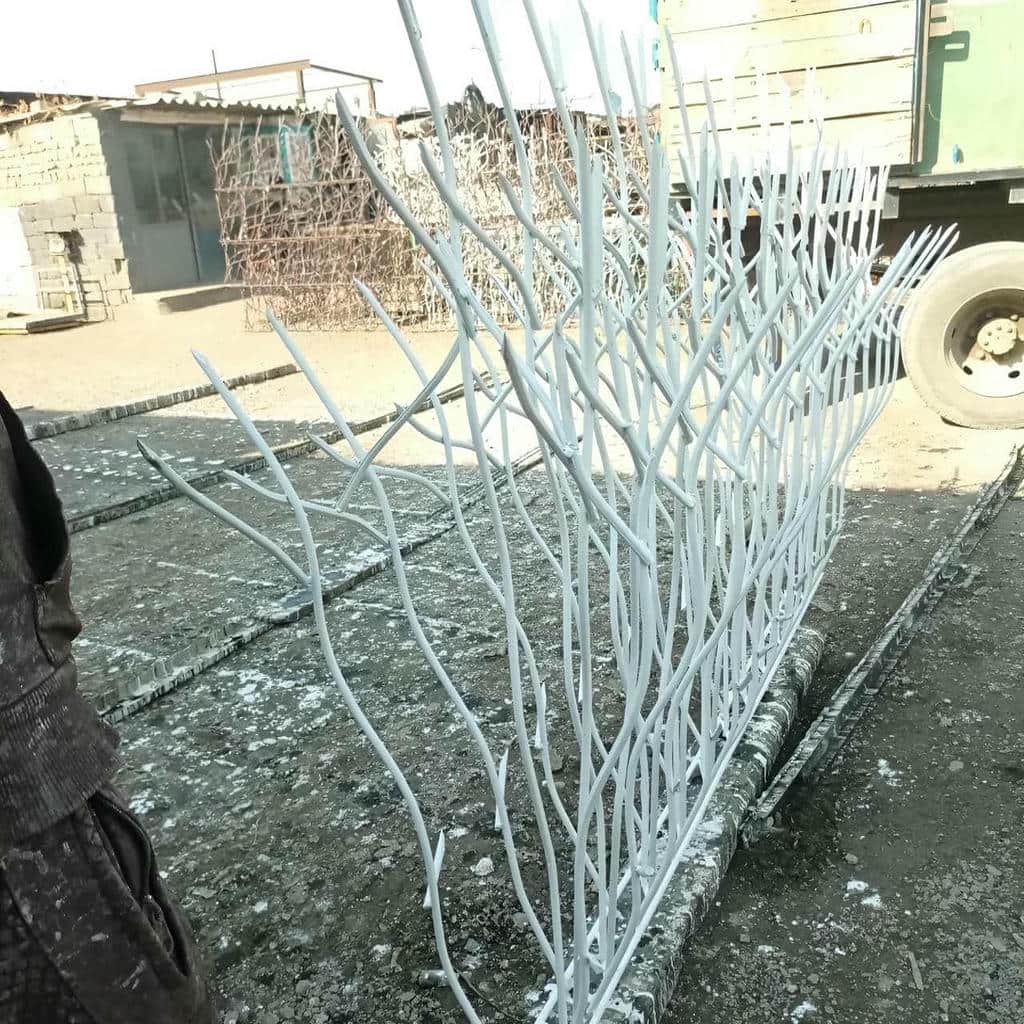 کارخانه حفاظ شاخ گوزنی ارتفاع سفارشی در تبریز