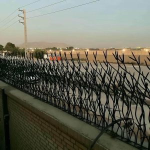 حفاظ شاخ گوزنی در شهریار