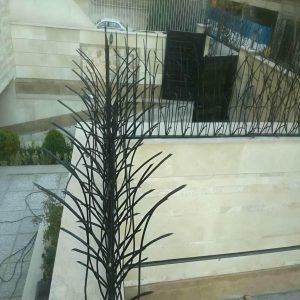 حفاظ شاخ گوزنی در محمودآباد