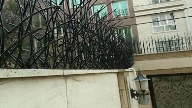 حفاظ شاخ گوزنی در همدان